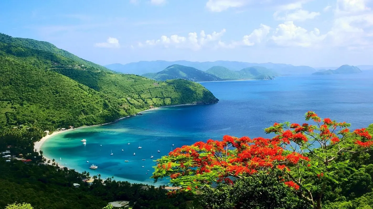 高精度高性能新型